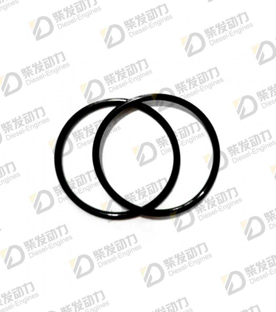 O-ring 21034011 